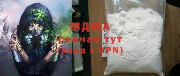 молекула духа Богородицк