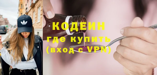 молекула духа Богородицк