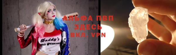 молекула духа Богородицк
