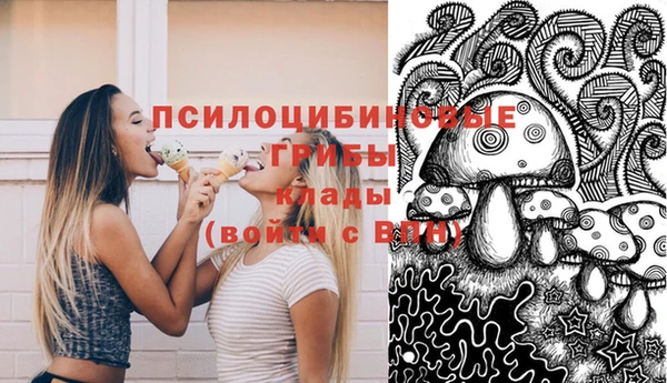 молекула духа Богородицк