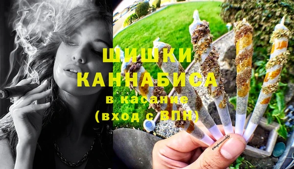 молекула духа Богородицк