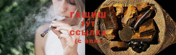 молекула духа Богородицк