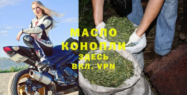 молекула духа Богородицк