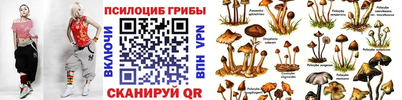 Галлюциногенные грибы Psilocybine cubensis  Канск 